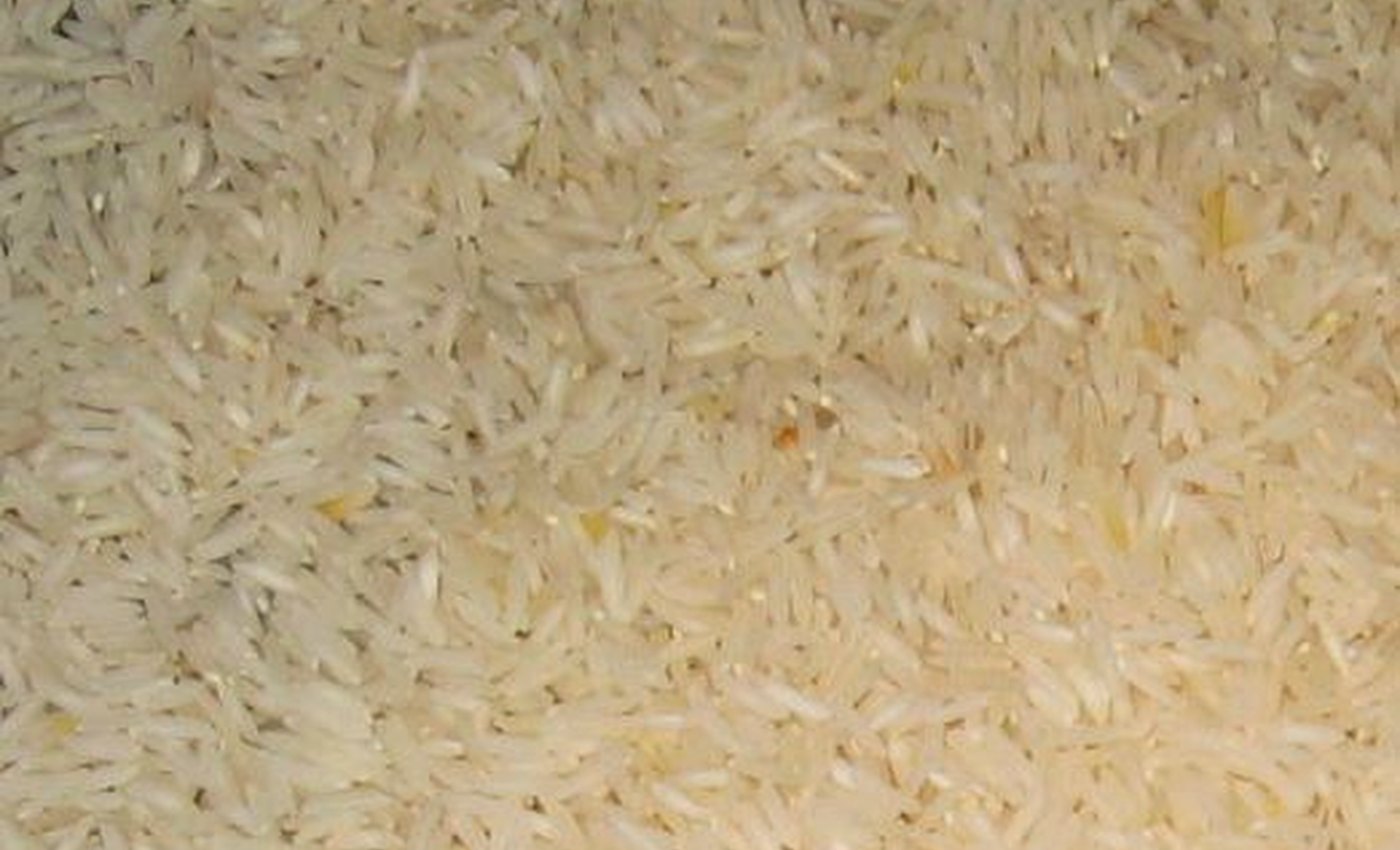 Rice