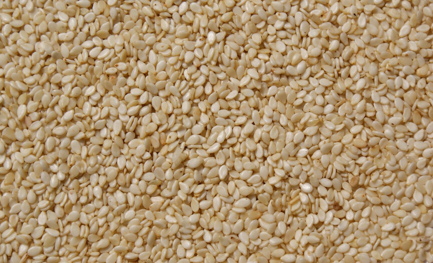 Sesame
